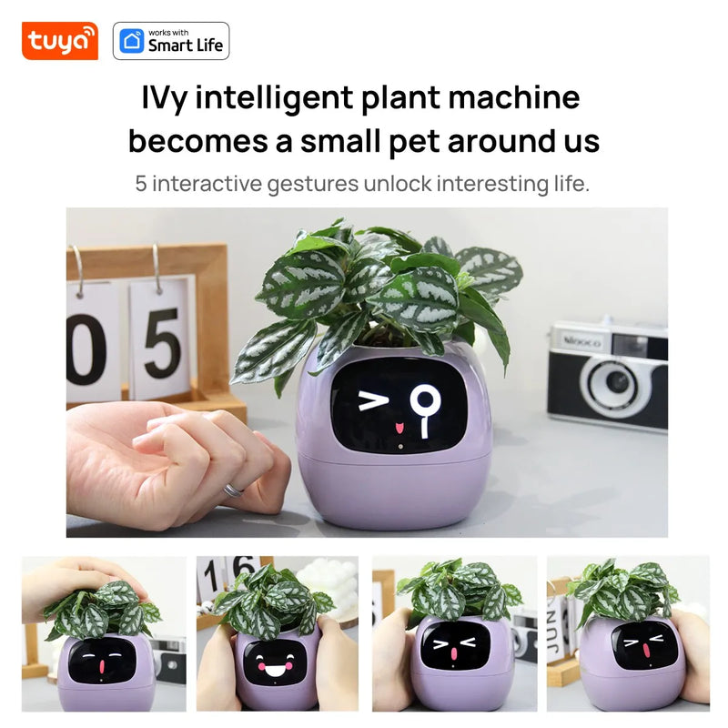 Tuya Ivy Smart Planter – The Future of Plant Care