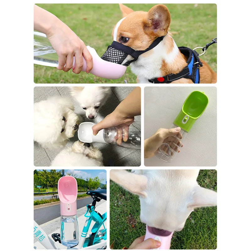 Portable Pet Water Bottle & Feeder – Hydration and Snacks on the Go