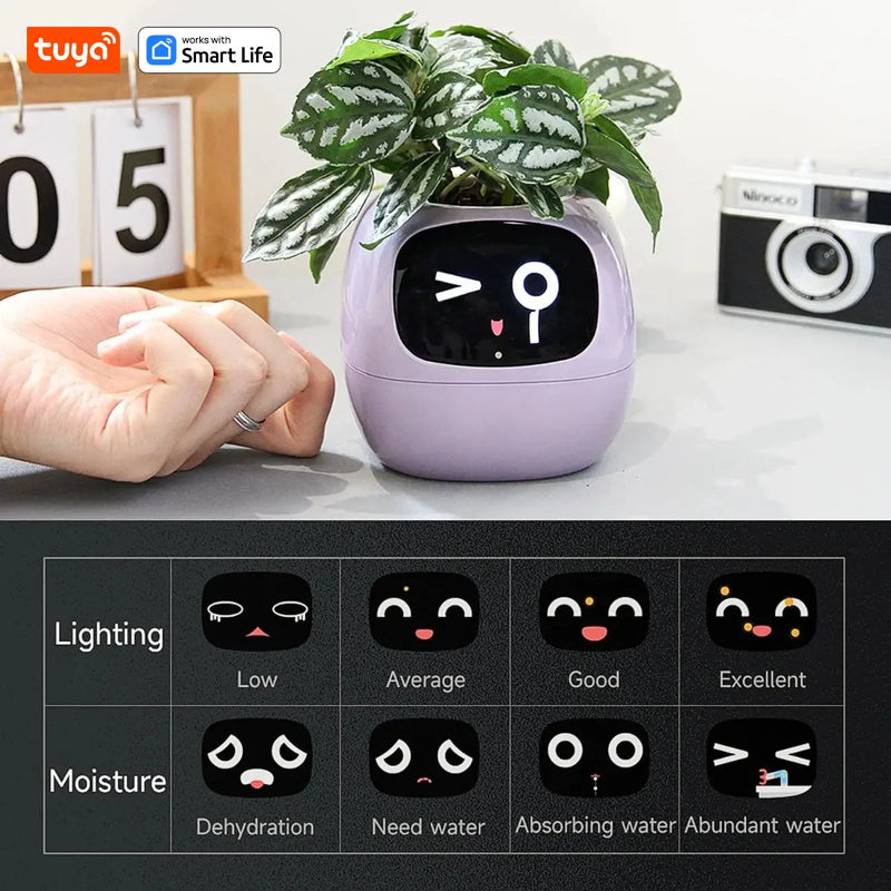 Tuya Ivy Smart Planter – The Future of Plant Care