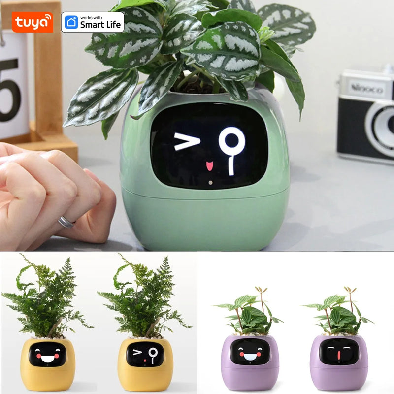 Tuya Ivy Smart Planter – The Future of Plant Care